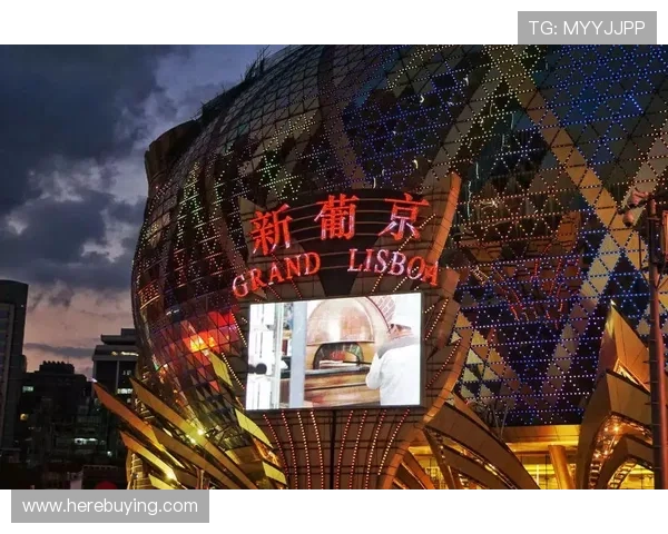 新葡京娱乐网址娱乐平台：用户评价与口碑分析，选择新葡京娱乐平台的理由