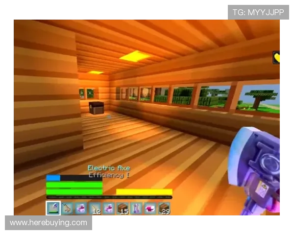 澳门葡京登录入口官方最新入口地址，确保玩家安全顺畅体验游戏乐趣