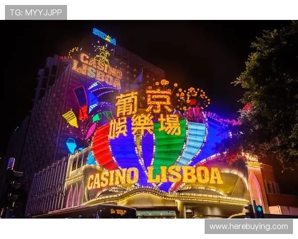 澳门太阳城娱乐项目全攻略带你了解丰富多彩的娱乐选择与精彩体验