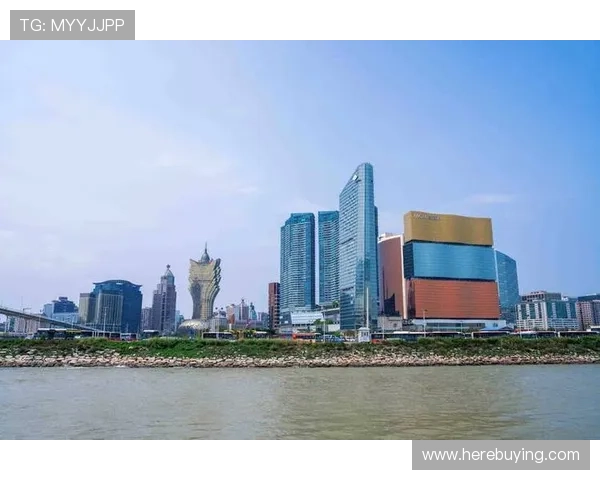 澳门新葡京娱乐项目全攻略，满足不同玩家的多样需求